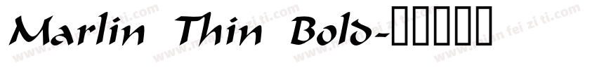Marlin Thin Bold字体转换